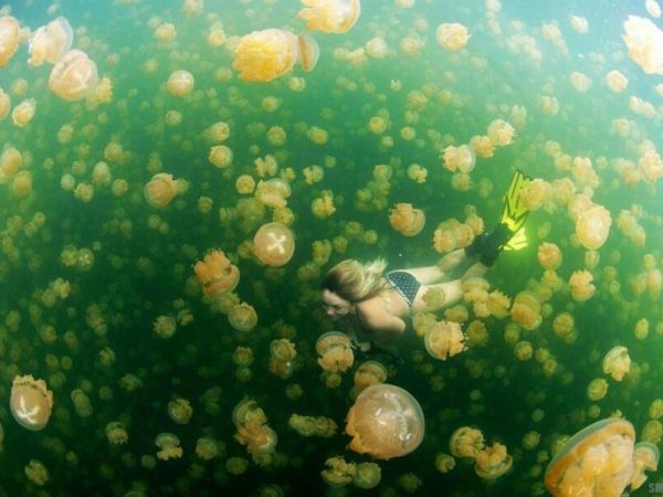 Paket Wisata Derawan – Labuan Cermin 3 Hari via Tarakan