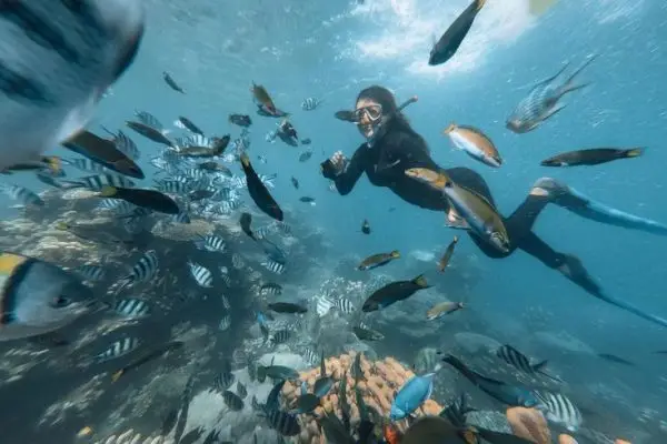 Paket Wisata Pulau Harapan 2D1N