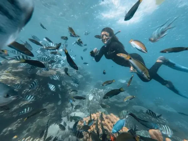 Paket Wisata Pulau Harapan 2D1N